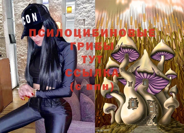 экстази Михайловск