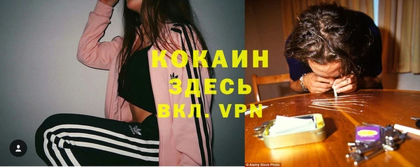 сатива Михайлов