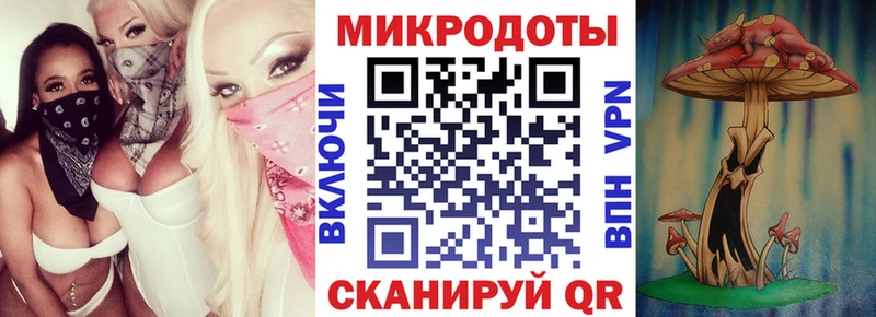 Галлюциногенные грибы Psilocybine cubensis  Новая Усмань 